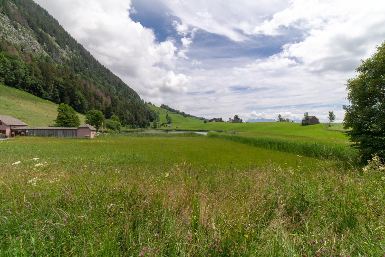 Wiesel Wildhaus Bagian luar foto