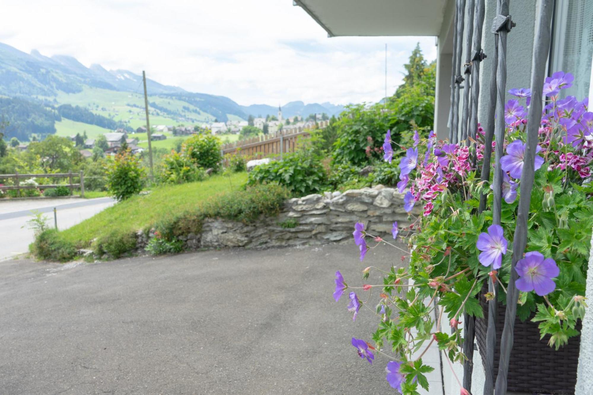 Wiesel Wildhaus Bagian luar foto