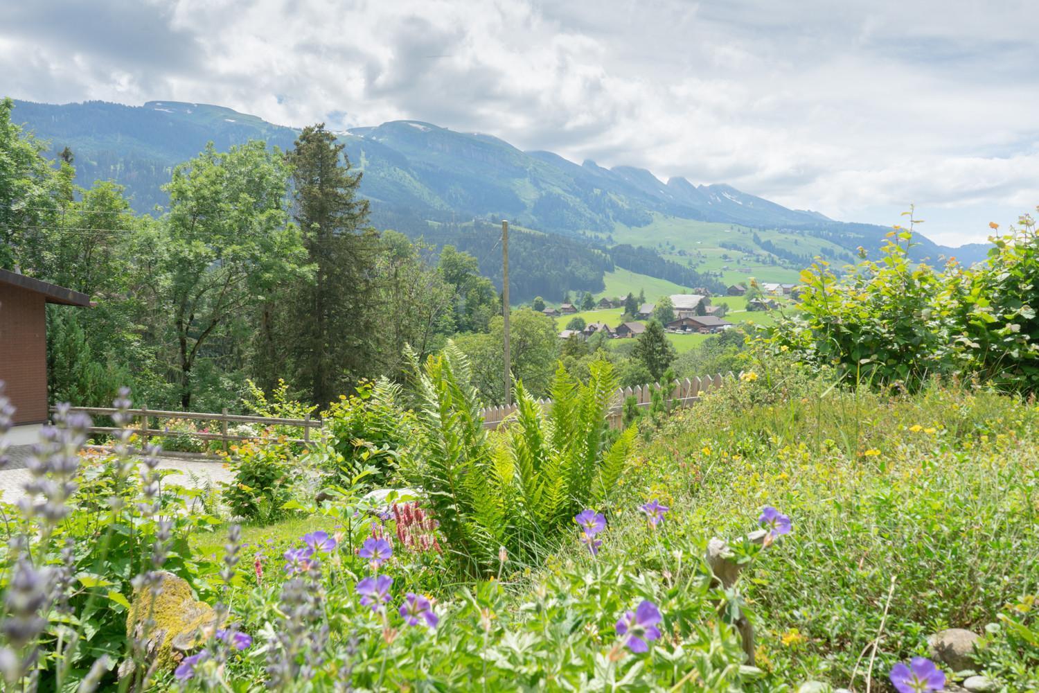 Wiesel Wildhaus Bagian luar foto